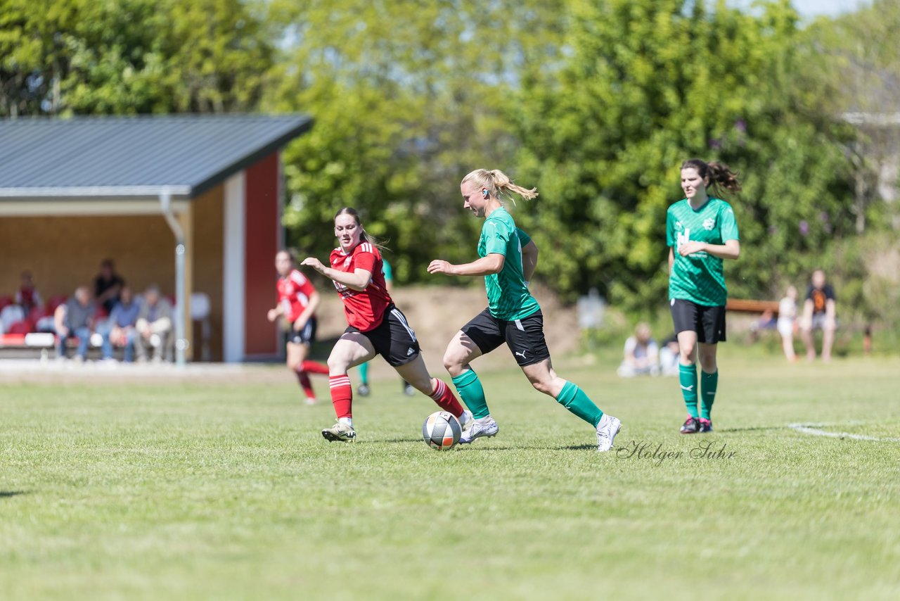 Bild 195 - F SG NieBar - IF Stjernen Flensborg : Ergebnis: 2:0